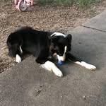 Patrick Sappington - @patrick.sappington.31 - Instagram
