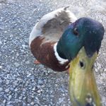 @patrick__sauter - Instagram