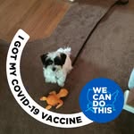 Patrick Mahlon Scarry - @patrickscarry - Instagram