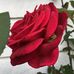 Patrick Schaecher - Facebook