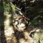 Patrick Scharrer - @patrick.scharrer.39 - Instagram