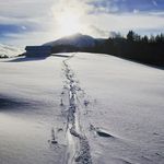 Patrick Schatz - @pottl15 - Instagram