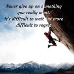 Patrick Scheidt - @scheidtpatrick - Instagram