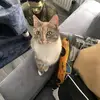 Patrick Scheidt - @patrick21s - TikTok