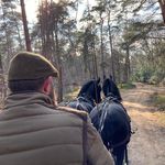 Patrick Schellekens - @patrickschellekens - Instagram