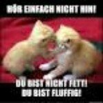 Patrick Scheller - @schellerpatrick - Instagram