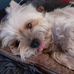 Patrick Schille - Facebook