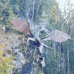 Schill Patrick - @patrick_schill - Instagram