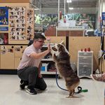 Patrick Schiller - @patrick.schiller.562 - Instagram