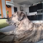 Patrick Schoenherr - @schoenherrpatrick - Instagram