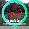 Patrick Scholten - @patrickscholten2 - TikTok