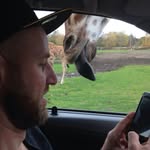 Patrick Schoneville - @patrickschoneville - Instagram