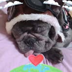 Patrick Schooner - Facebook