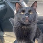 Patrick Schroeder - @coolclaw681 - Instagram