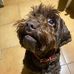 Patrick Scrivens - Facebook