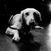 Patrick Seager - Facebook