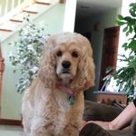Patrick Seaman - @pattseems - Instagram