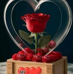 Ilona Schmitt Patrick Seeber - Facebook