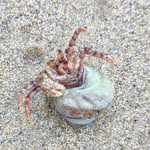 Patrick Seguinot - @patrickseguinot - Instagram