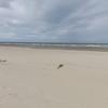 Patrick Seigneur - @patrick.seigneur2 - TikTok