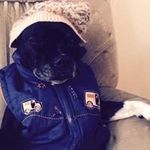 J Patrick Sellars - @jpatricksellars - Instagram