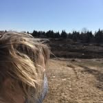 Patrick Sexton - @patricksexton71 - Instagram