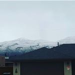 patrick shaver - @shaverpatrick - Instagram
