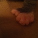 @shaver_patrick - Instagram