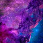 Patrick Shearer - @patrick.shearer.9041 - Instagram