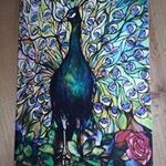 Patrick Sheeran - @patricksheeran - Instagram