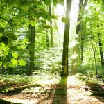 Shemwell  patrick - @biggiecain - Instagram