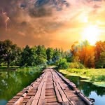 Patrick Shine - @pshine1960 - Instagram