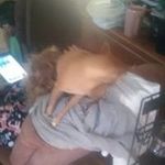 Patrick Shorter - @patrickshorter - Instagram