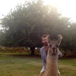 Patrick Simone - @desertbred - Instagram
