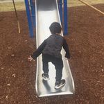 Patrick Singleton - @patricksingleton48 - Instagram