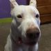 Patrick Skaggs - Facebook