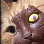 Patrick Skaggs - @patrick.skaggs.14 - Instagram