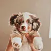Patrick Skeens - @patrickskeens663 - TikTok