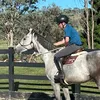 Patrick Sly - @patrick.sly.equestrian - TikTok