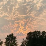 @patrick_smal_ls - Instagram