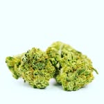 Patrick Smithson - @jimi4.20 - Instagram