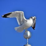 Patrick Snell - @patricksnell1 - Instagram