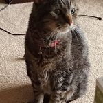 Patrick Snowden - @timetaker444 - Instagram