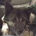 Pat Sobel - Facebook