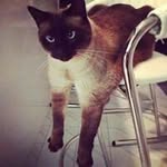 Patrick Sobel - @patricksobel - Instagram