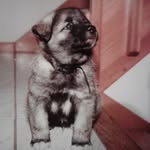 Patrick Sobel - @sobelpatrick - Instagram