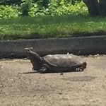 Patrick Sohr - @psohr64 - Instagram