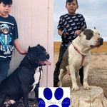 Patrick Solano Sr. - @patrick.solano.1042 - Instagram