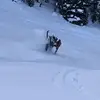 Patrick Solbach - @patrick.solbach - TikTok