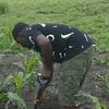 Patrick sonda - @user9763420954252patrick - TikTok